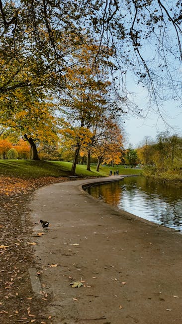 A serene scene of Victoria Park in Hackney featuring a gently winding paved pathway alongside a calm river, bordered by trees with vibrant autumn foliage in shades of orange, yellow, and green. Some b