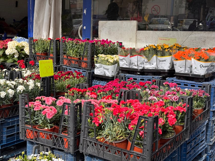 Outdoor display of potted flowering plants arranged on black plastic crates outside a florist shop. The collection includes pink, red, white, yellow, and orange blooms, with some plants wrapped in whi