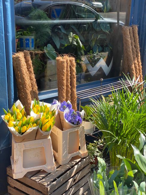 An outdoor display of flower arrangements and potted plants in front of a blue window with a reflection of green foliage inside. The arrangement includes bouquets of yellow tulips and purple flowers w